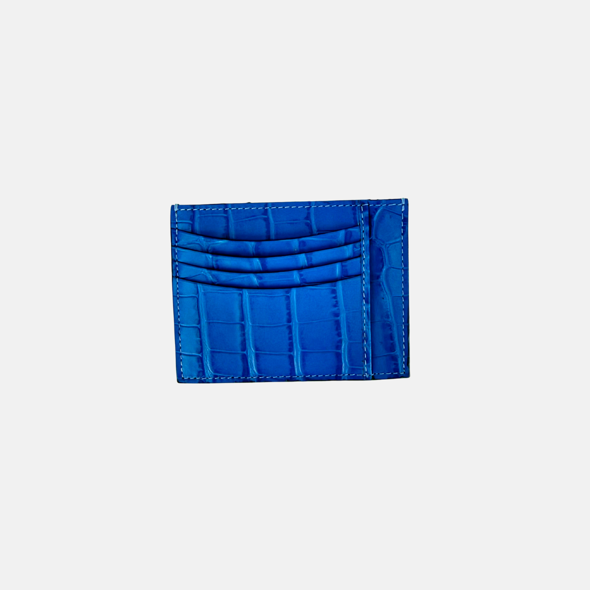 Croco Embossed Compact Credit Card Organizer in Sky Blue