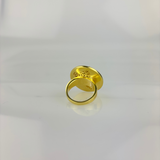 Saol Ring