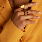 Dean Davidson Plaza Ring in Tiger's Eye - Big Bag NY