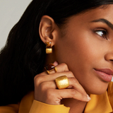 Dean Davidson Plaza Ring in Tiger's Eye - Big Bag NY