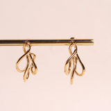 Waekura Sissy gold hoop earrings - Big Bag NY