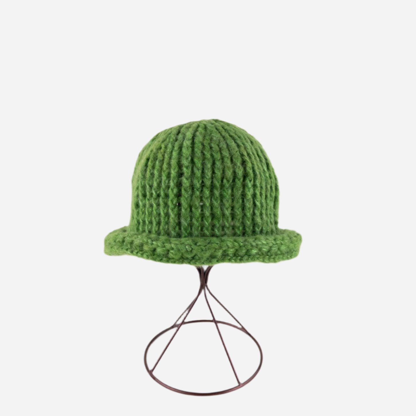 Green Ferruccio Vecchi Metallic Beanie with Rolled Trim - Big Bag NY