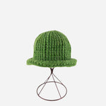 Green Ferruccio Vecchi Metallic Beanie with Rolled Trim - Big Bag NY