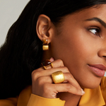 Dean Davidson Plaza Ring in Tiger's Eye - Big Bag NY