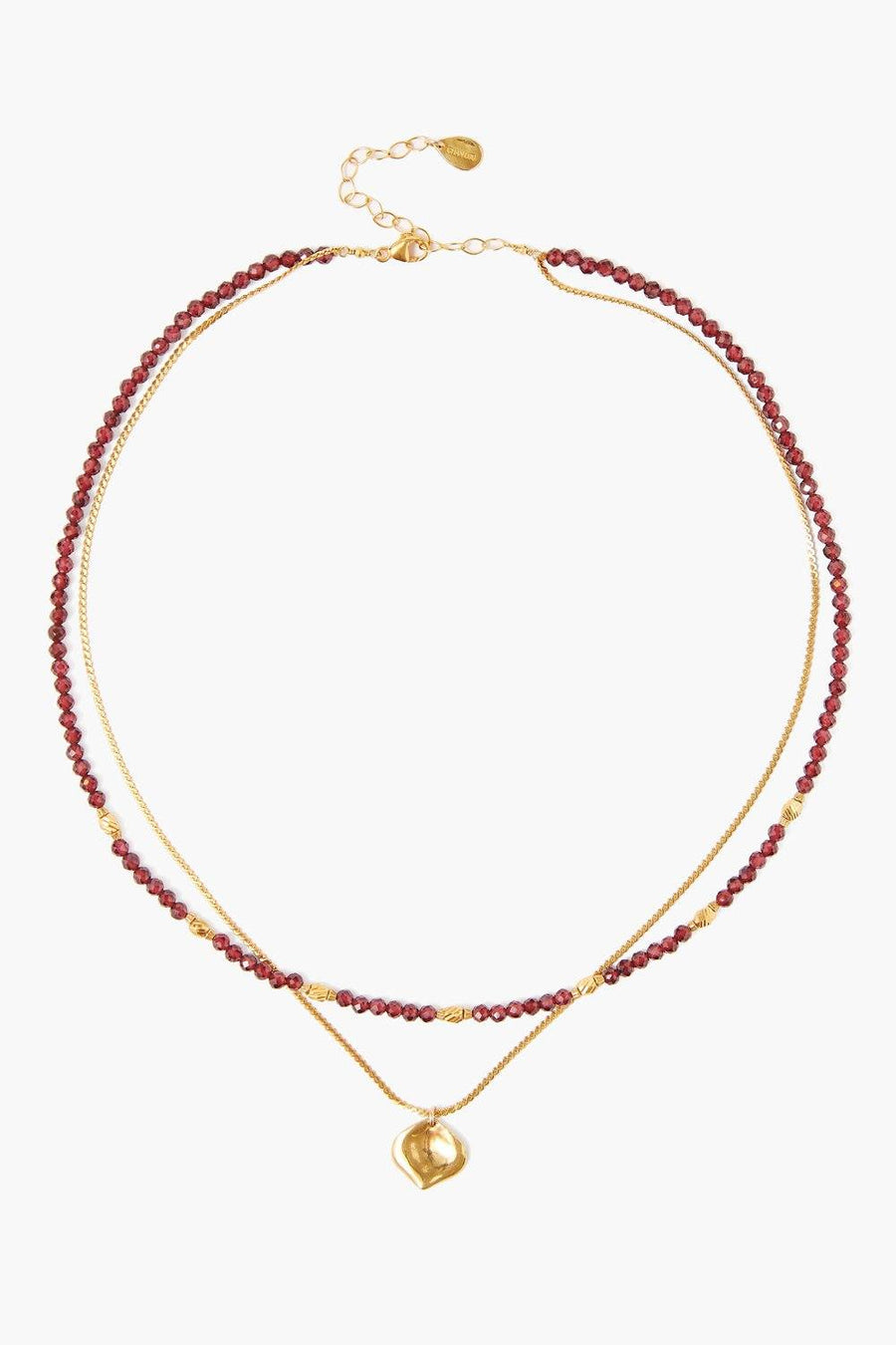 Garnet and Double Layer Necklace